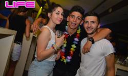 Hawaii Bash