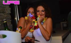 Hawaii Bash