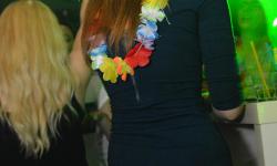 Hawaii Bash